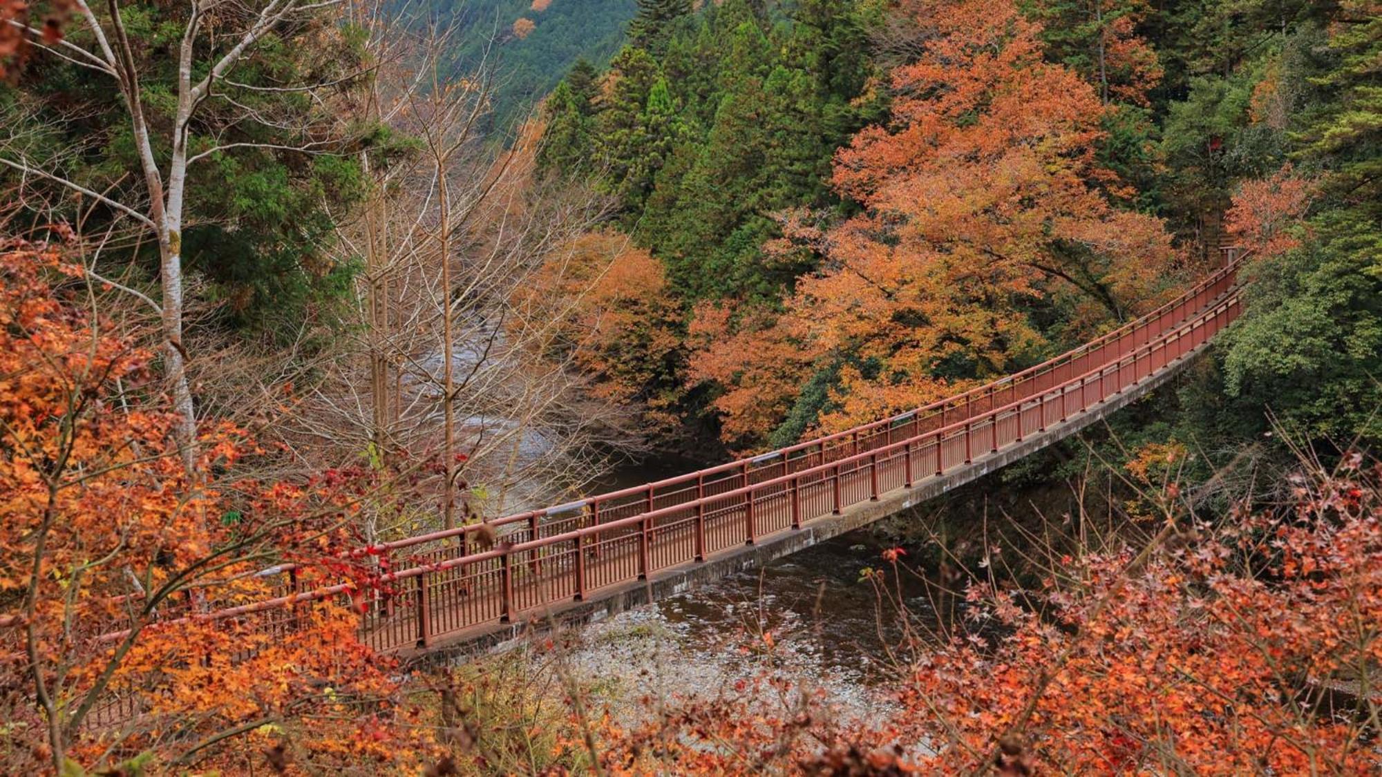东横inn-东京秋川站北口 3* 秋留野